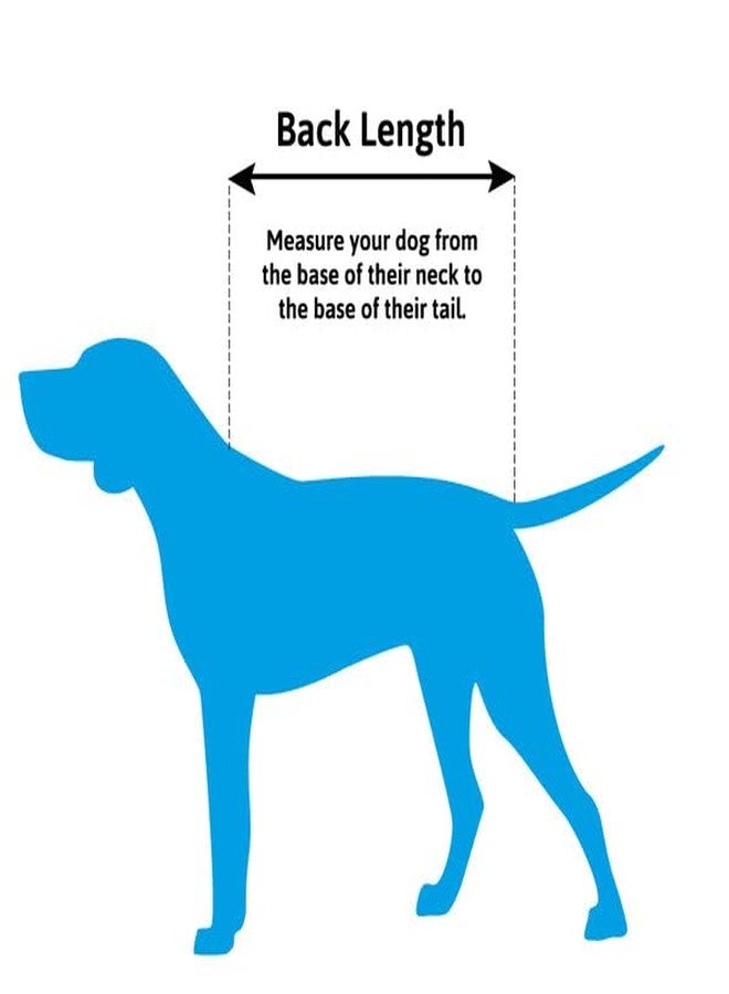 Petlicious & More® (Back Length Size - 30" Inches, Design May Vary) Cute Feather Velvett Winter Clothes Sweater for Maxi to Large Dogs (Pack of 1 Pcs) - Image 5